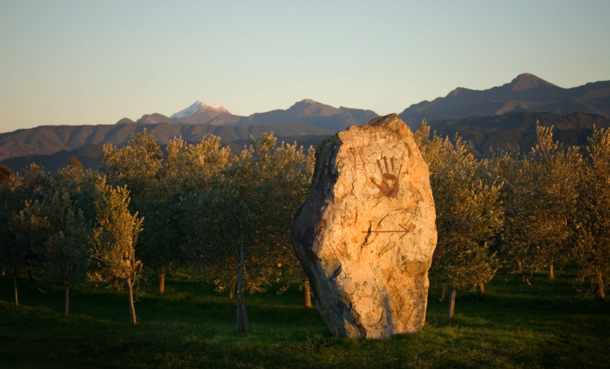 Seresin_Sentinal_Stone_Home_Vineyard