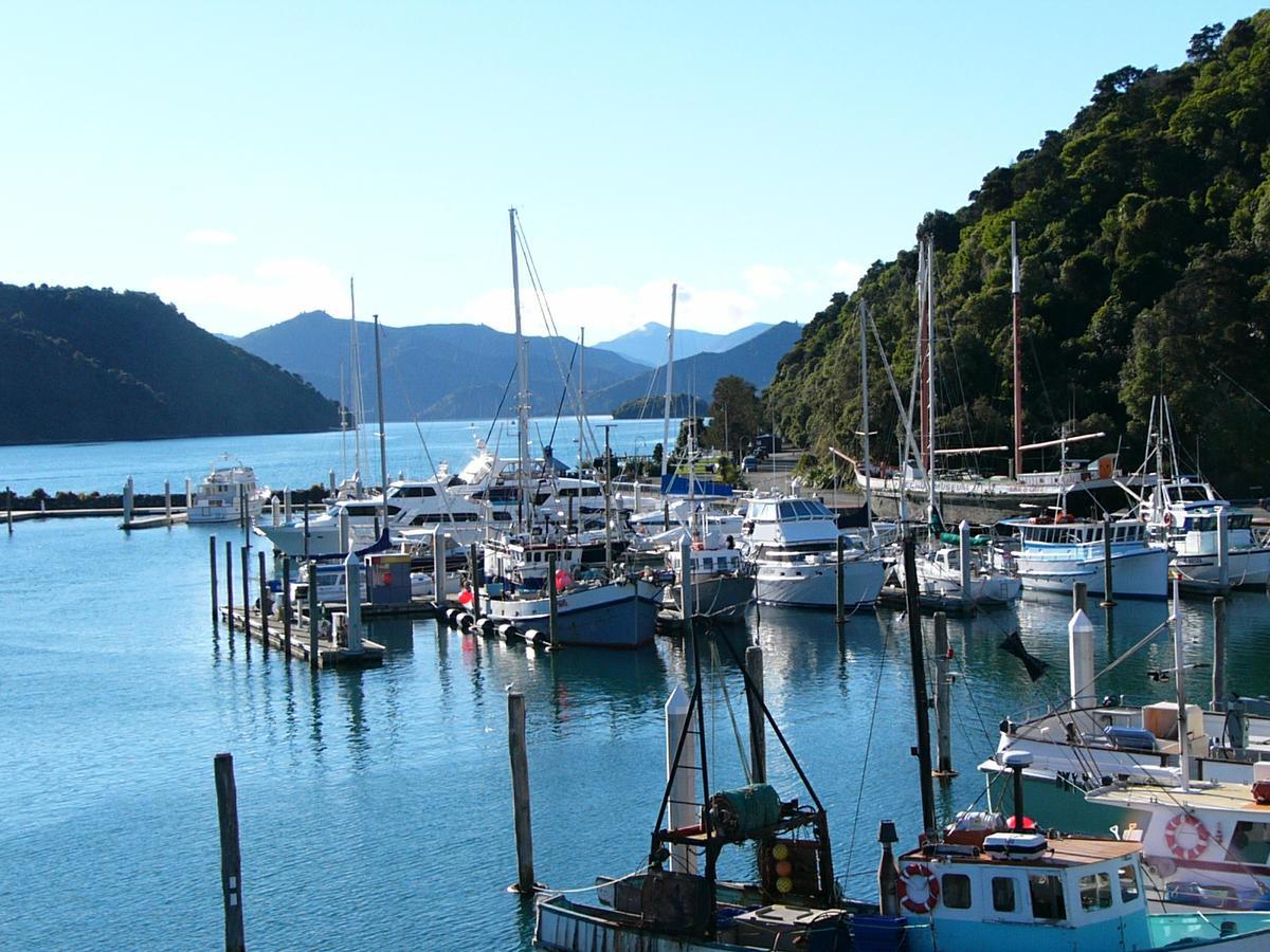 Picton_Harbour_from_Coathanger_bridge__Carl