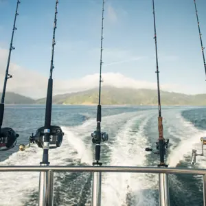 DM F Hooked On Wairau Sounds Boat Fishing (20)