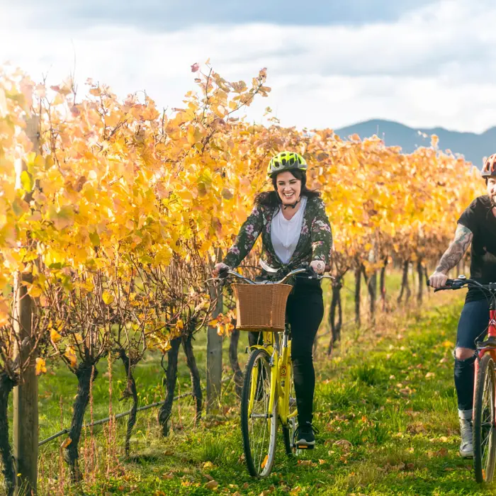 Autumn Couple Biking Vines Brancott Estate (4)