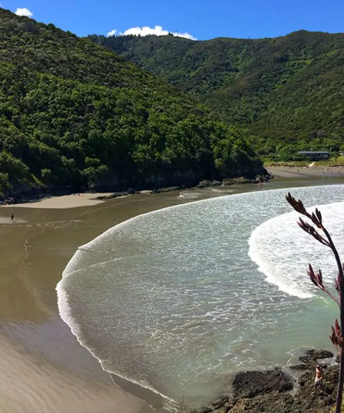 Whites Bay High View
