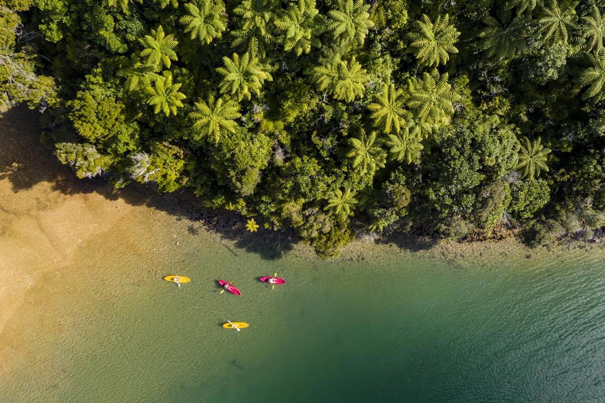 Activity_Kayaking_native_bush_Endeavour_Inlet_aerial_2019_MH