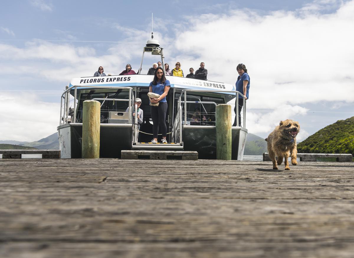 PMB_Crew_Passengers_arrive_at_jetty_Dog_2020_MH