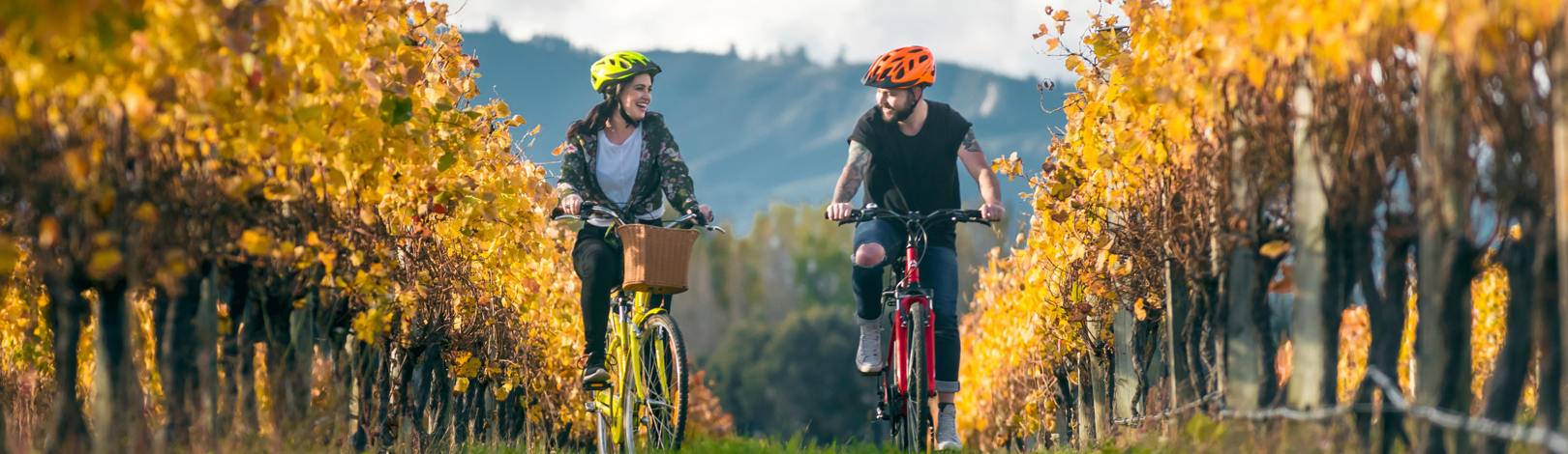 Website Banner (2500 Px X 2150 Px (1)