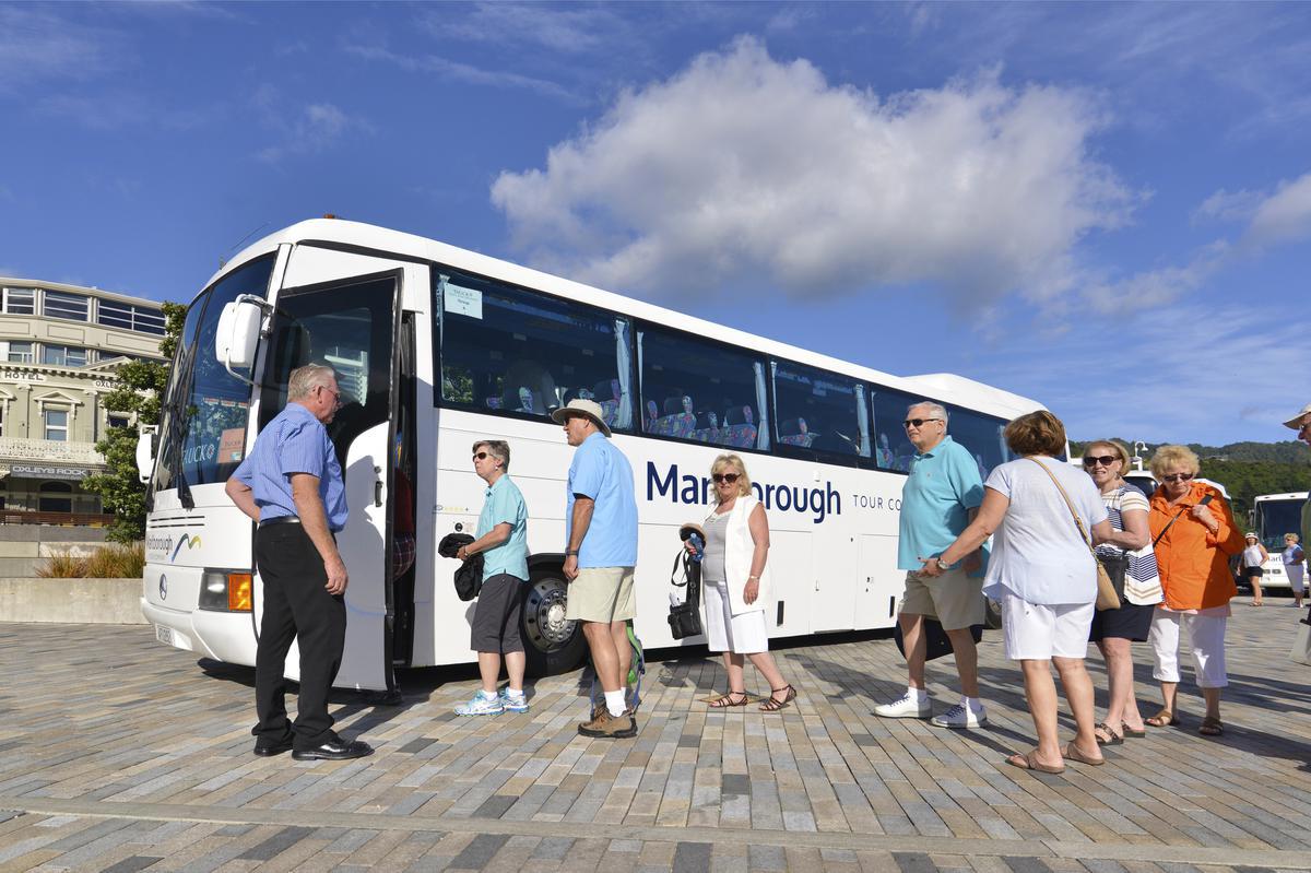 MTC_Cruise_ship_passenger_pick_up_2015