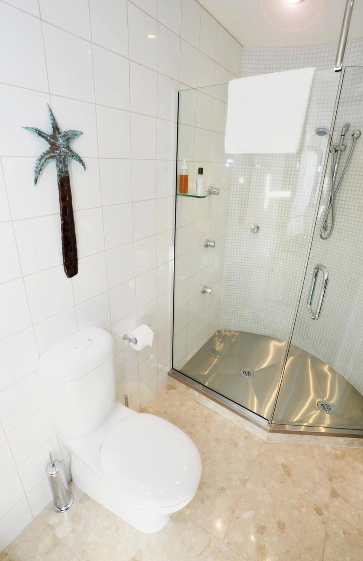 Palm_Room_Power_Shower