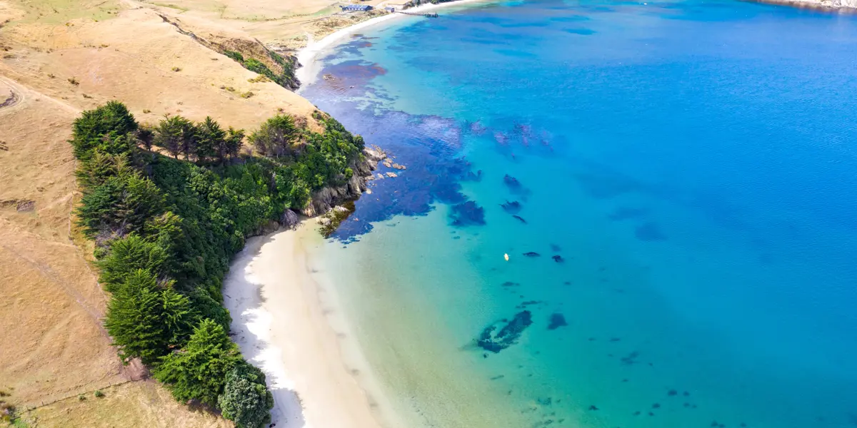 Arapawa Island 18