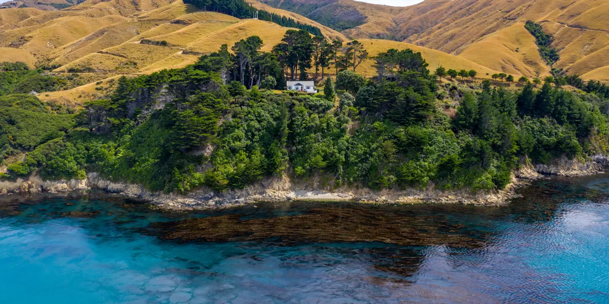 Arapawa Island 7