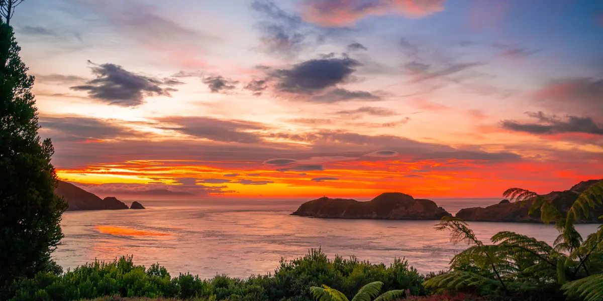 Arapawa Island 1