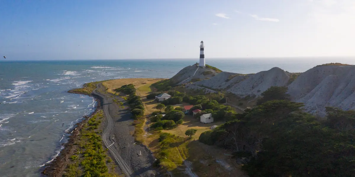 Cape Campbell Drone (19 Of 22)