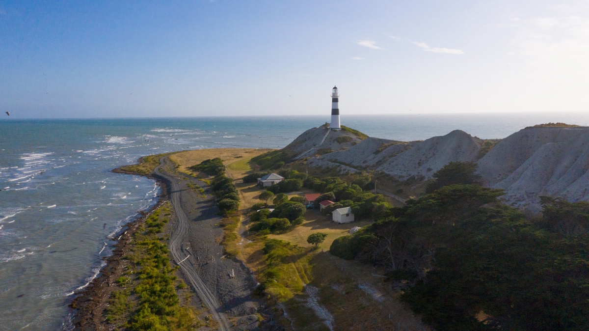 Cape Campbell Drone (19 Of 22)