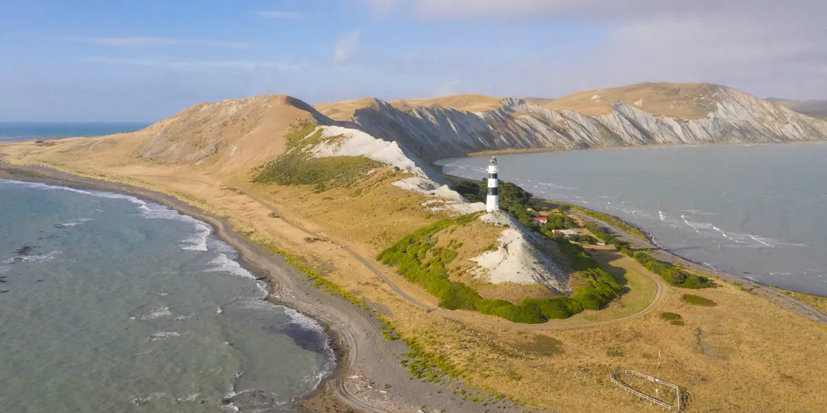 Cape Campbell Drone (9 Of 22)