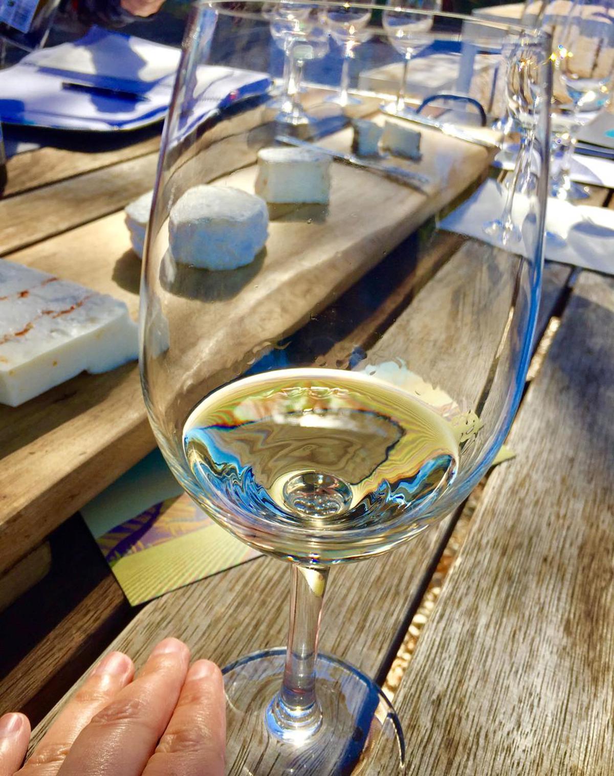 LDH_Sauv_Blanc_and_cheeses_0ZmZAXy (1)