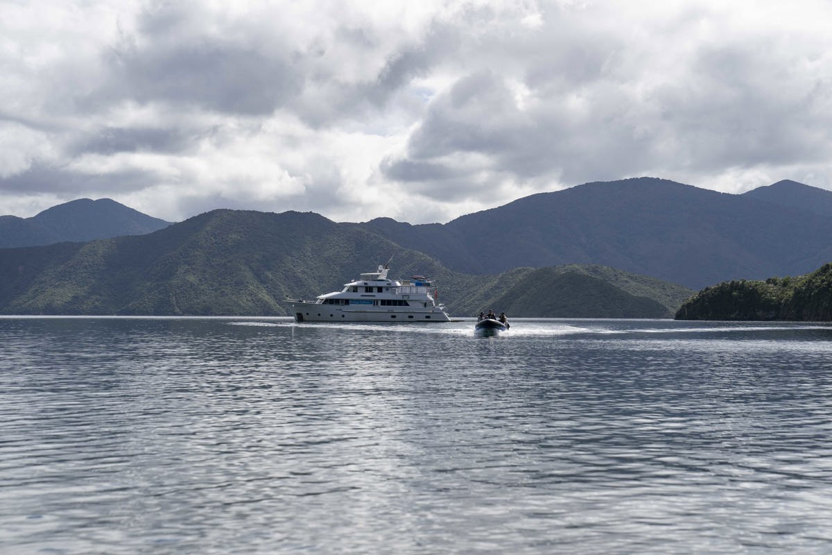 Marlborough Sounds_Blumine_Fiona Wardle