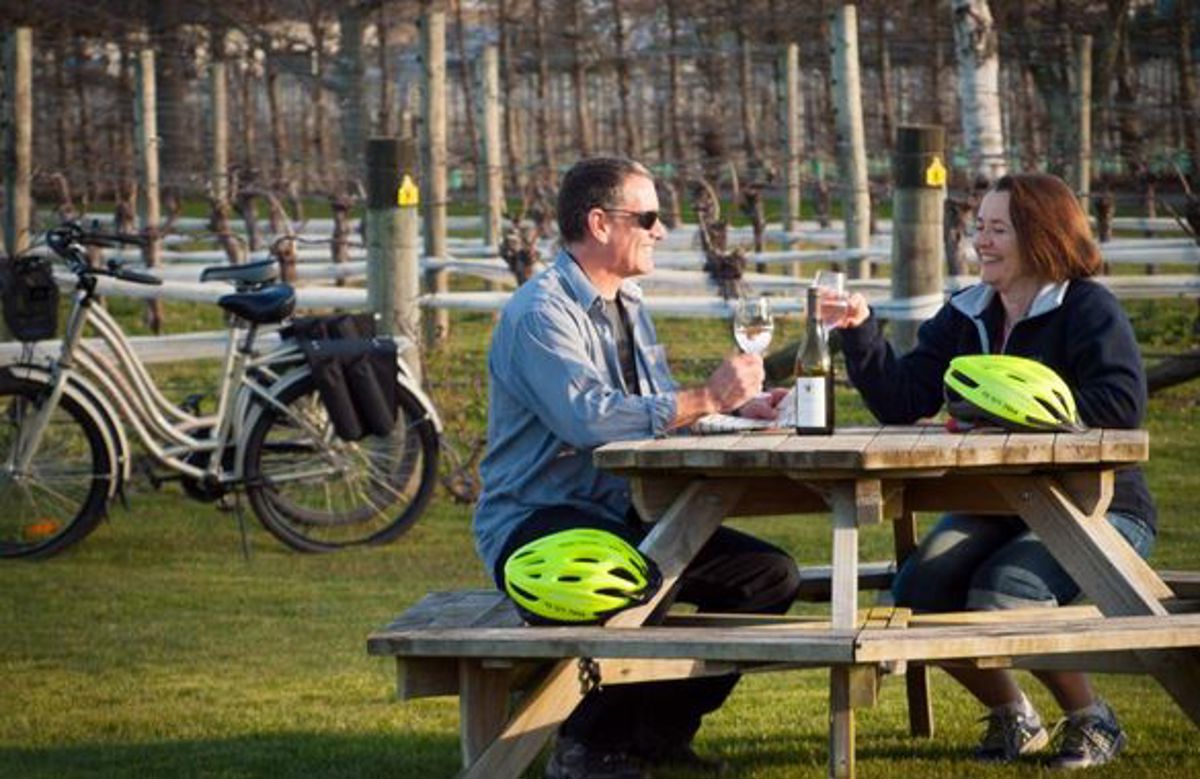 Wine Tours By Bike