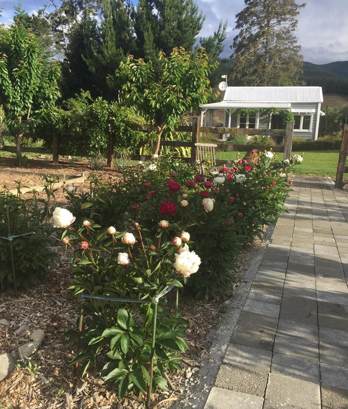 Birch_Hill_Cottage_Garden_c