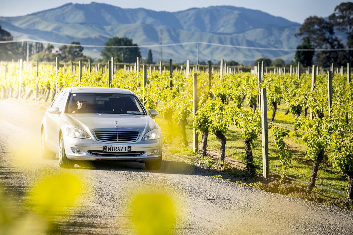 MTC_Mercedes_crusing_to_wineries_2016