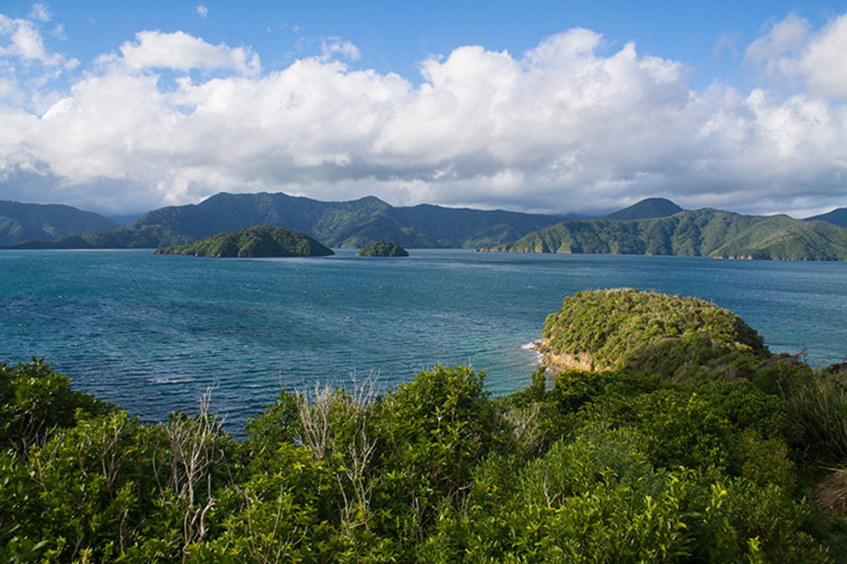 karaka-point-view-picton-nz