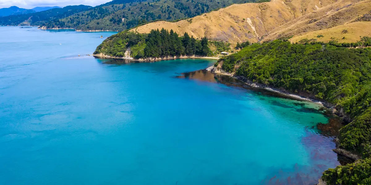 Arapawa Island 5