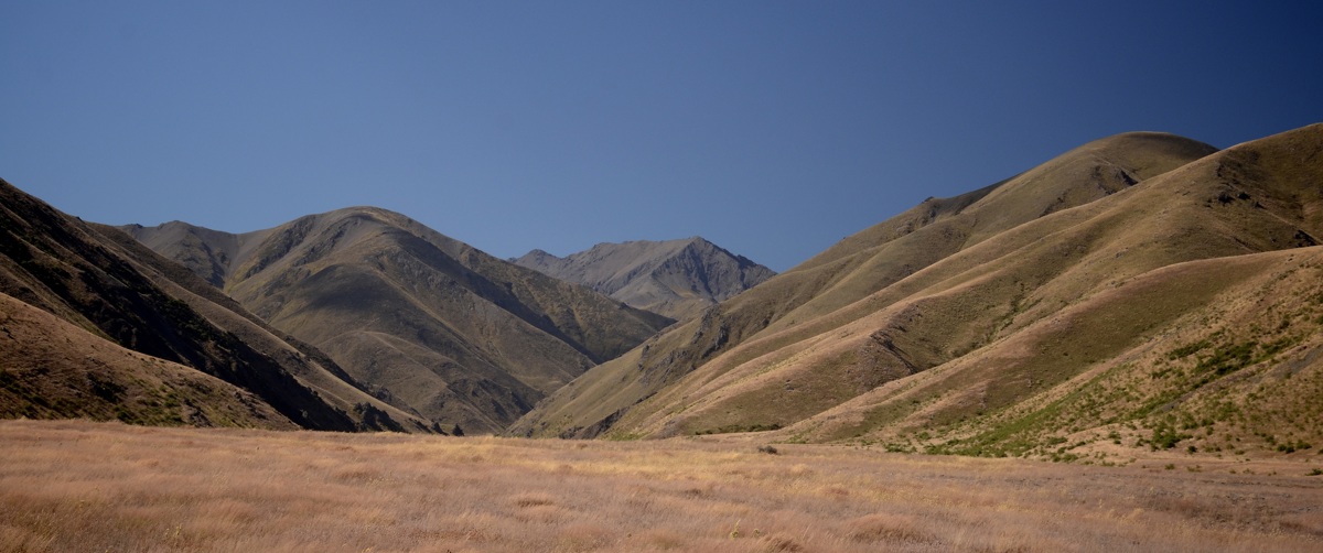 Mountains and pasture in Molesworth, Marlborough