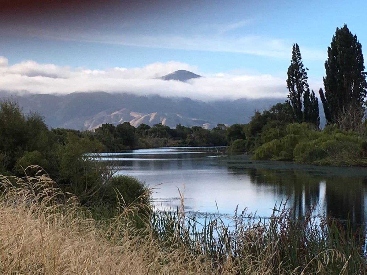 Te Reo Māori