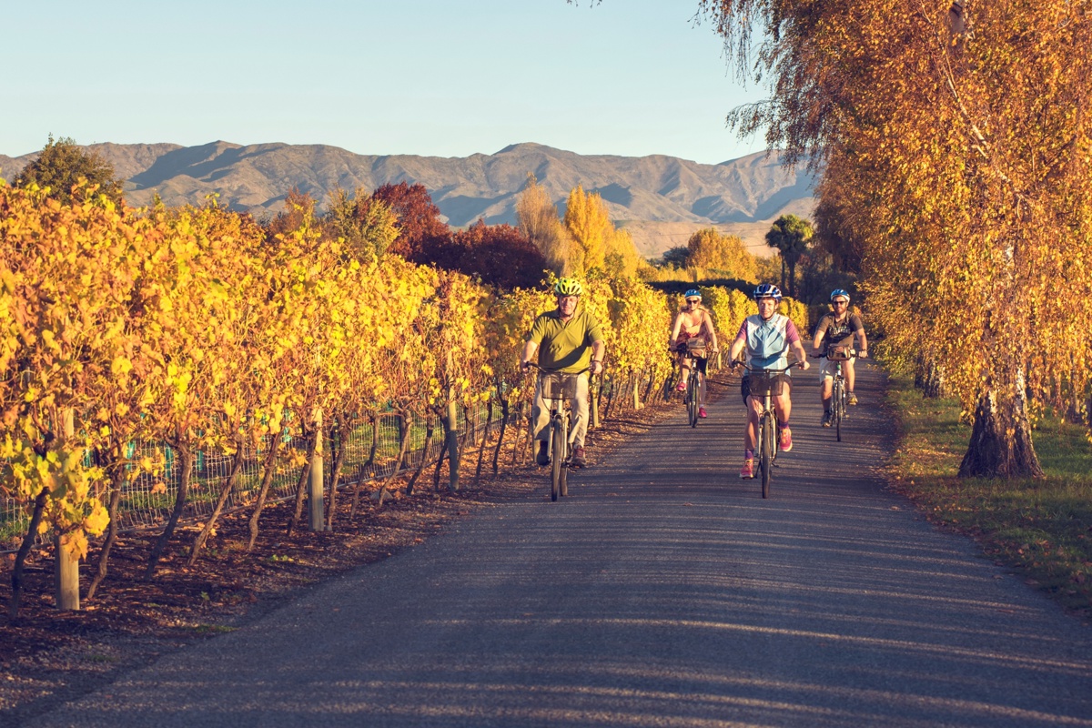 OP F C MDC Bike Winery Autumn Must Be Only Marlborough Horizontal Branded(45)